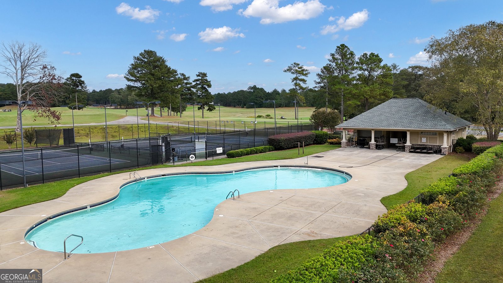 9961 Harmon Springs Drive Villa Rica - 4