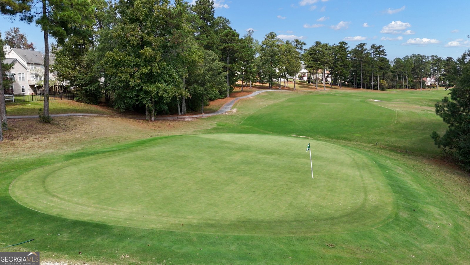 9961 Harmon Springs Drive Villa Rica - 8