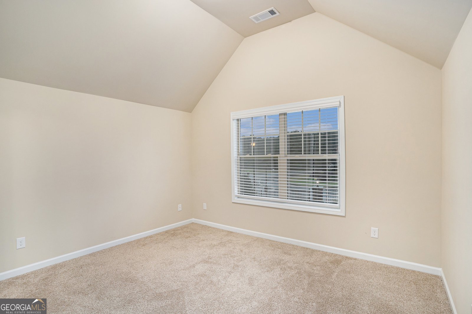 100 Lavender Way Mcdonough - 36