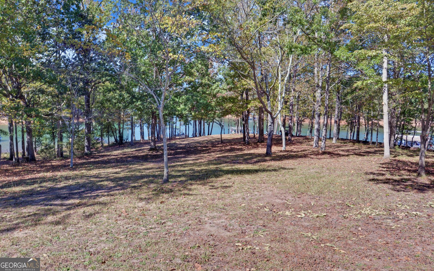 175 Nelle Drive Hartwell - 37