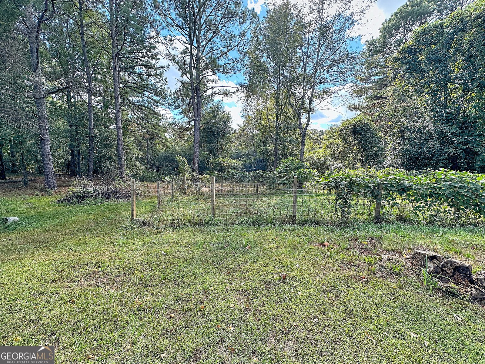 417 Tucker Road Pine Mountain - 33