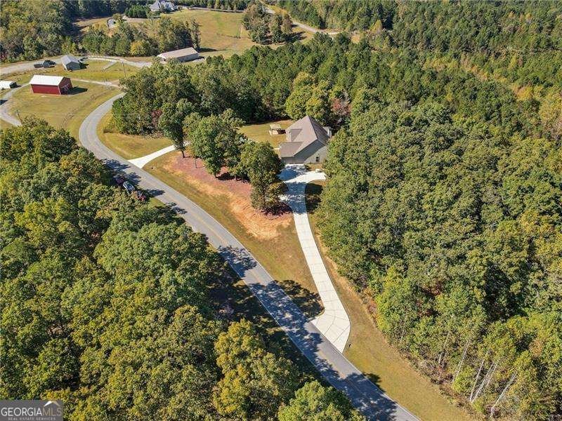 1560 Garland Mountain Trail Waleska - 10