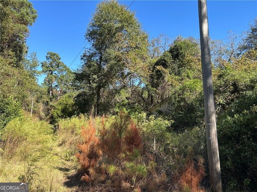 2581 Old Riggs Mill Road Statesboro - 1
