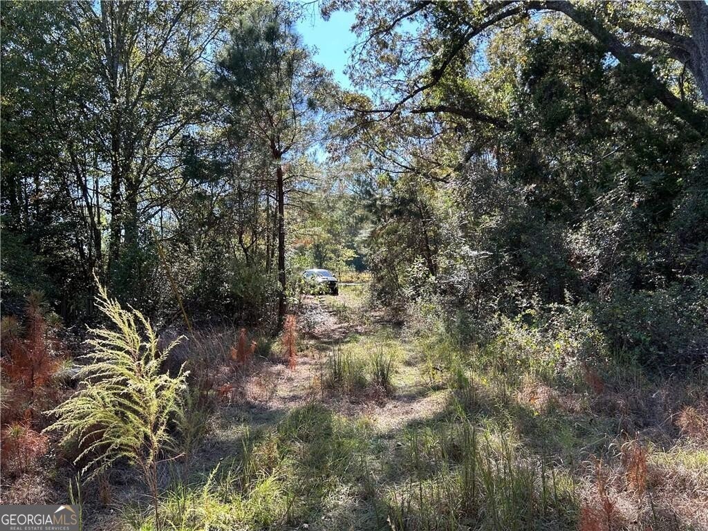 2581 Old Riggs Mill Road Statesboro - 2