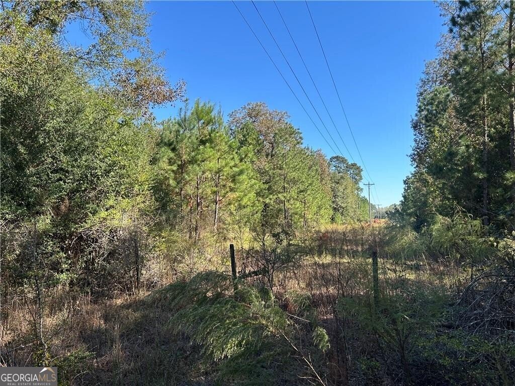 2581 Old Riggs Mill Road Statesboro - 3
