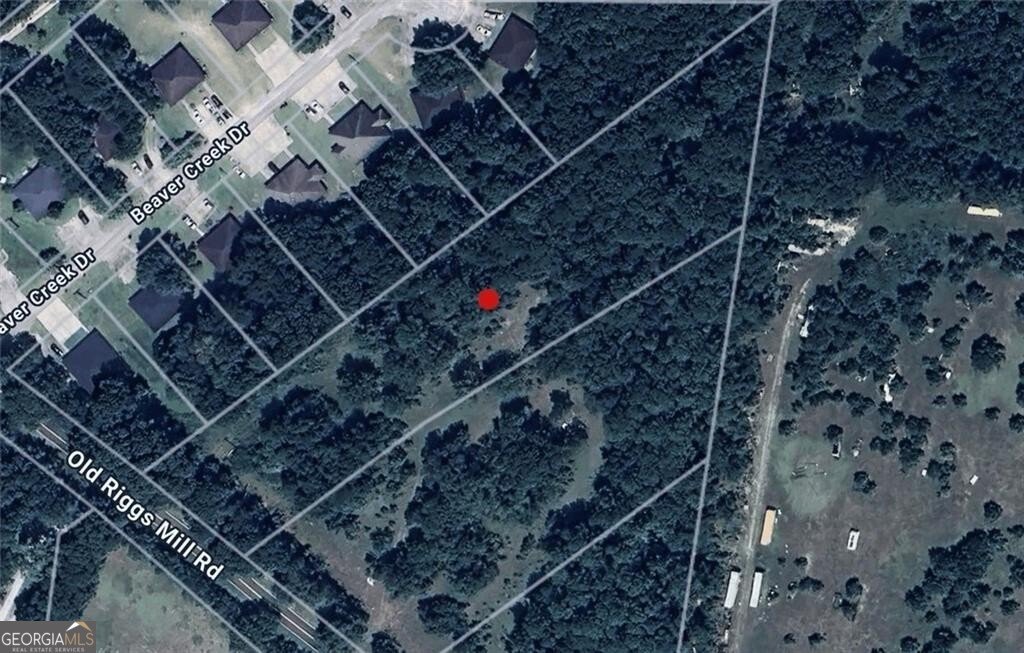 2581 Old Riggs Mill Road Statesboro - 4