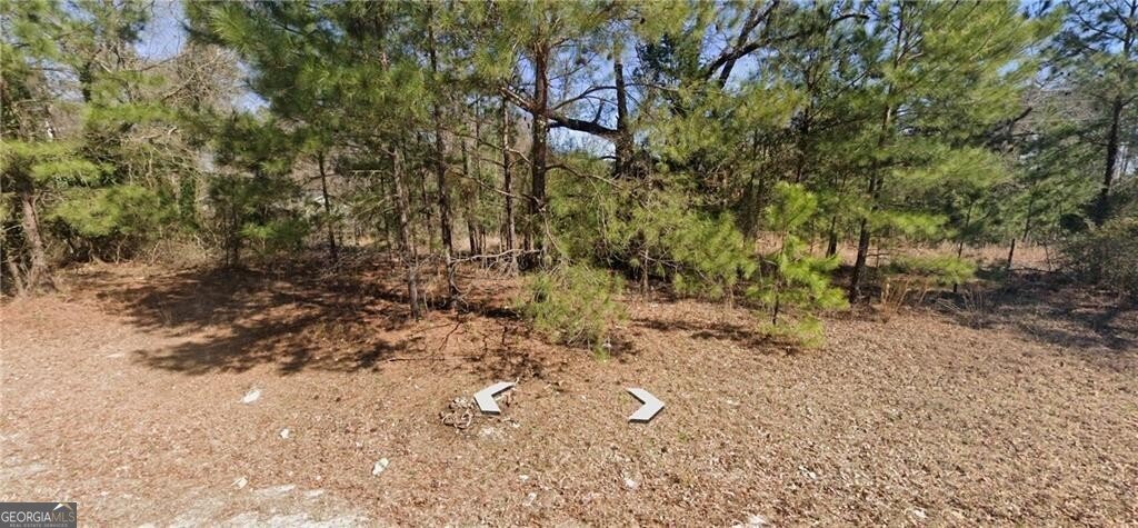 2581 Old Riggs Mill Road Statesboro - 5