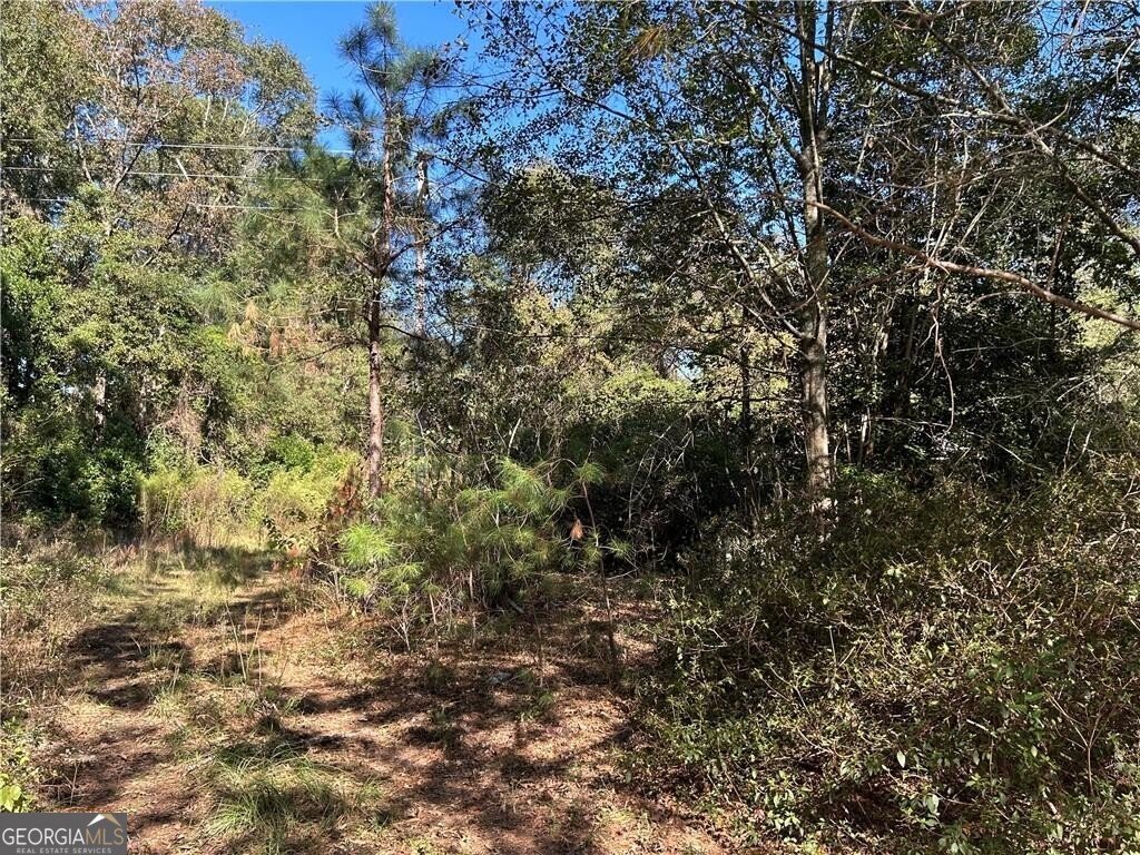 2581 Old Riggs Mill Road Statesboro - 6