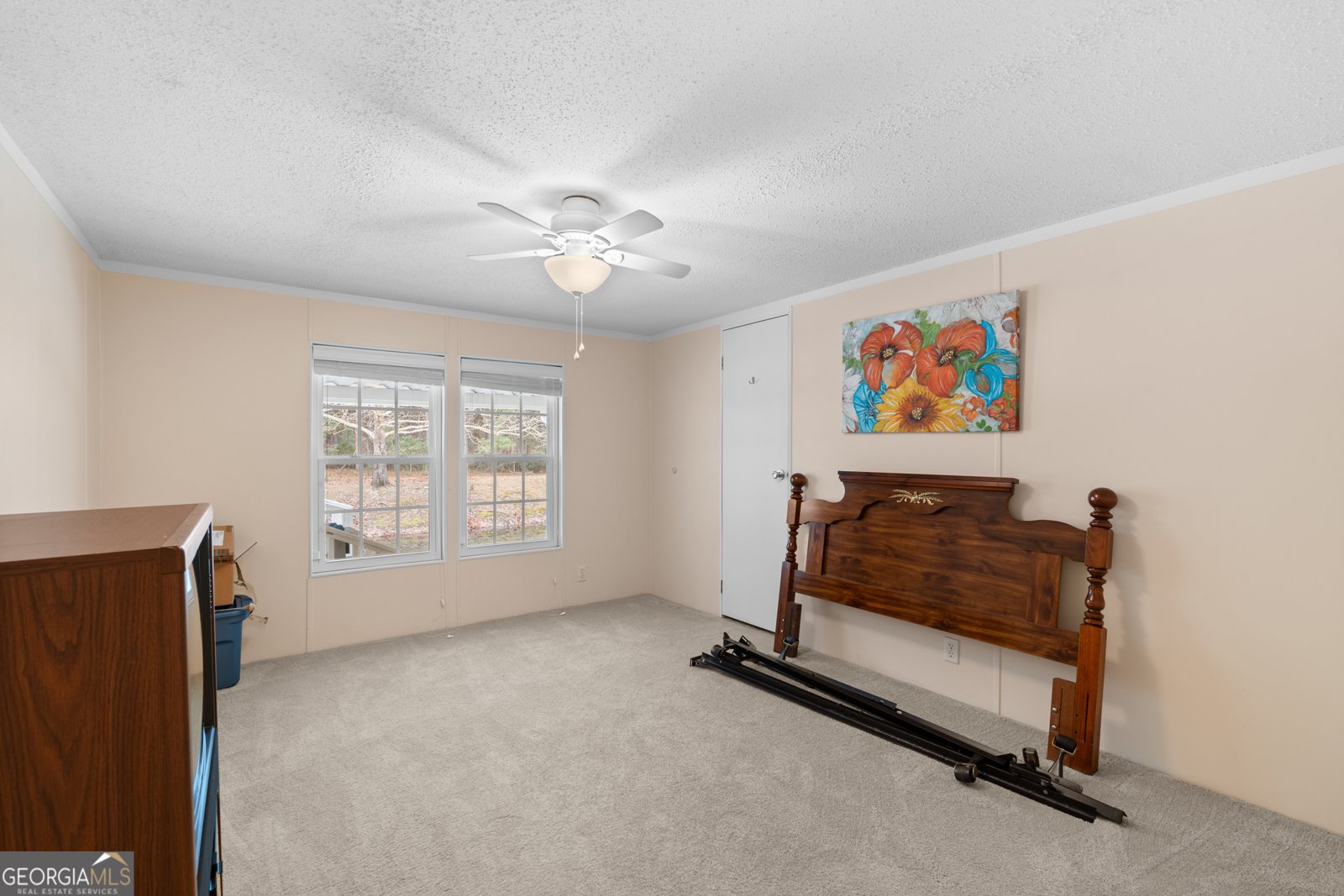 23709 Ga Highway 46 Pembroke - 20