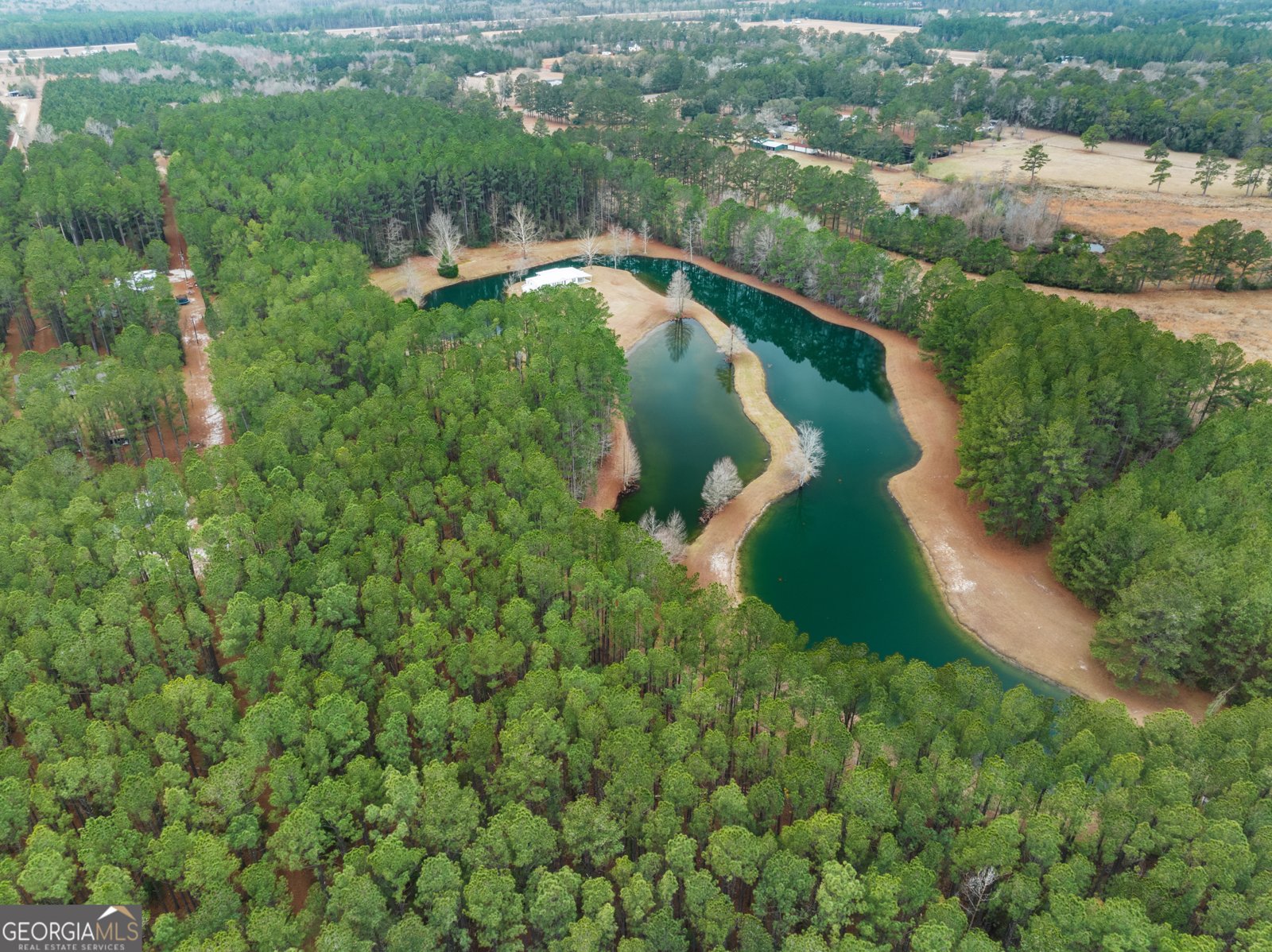 23709 Ga Highway 46 Pembroke - 34