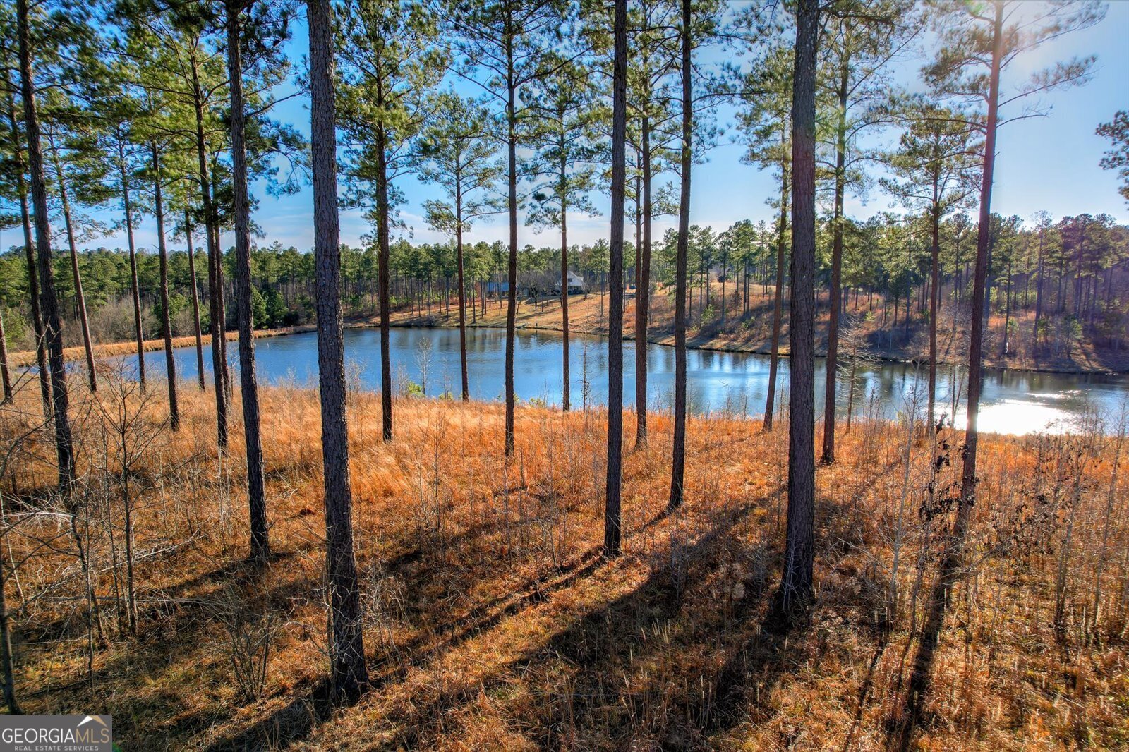 2164 Lincolnton Highway Elberton - 58