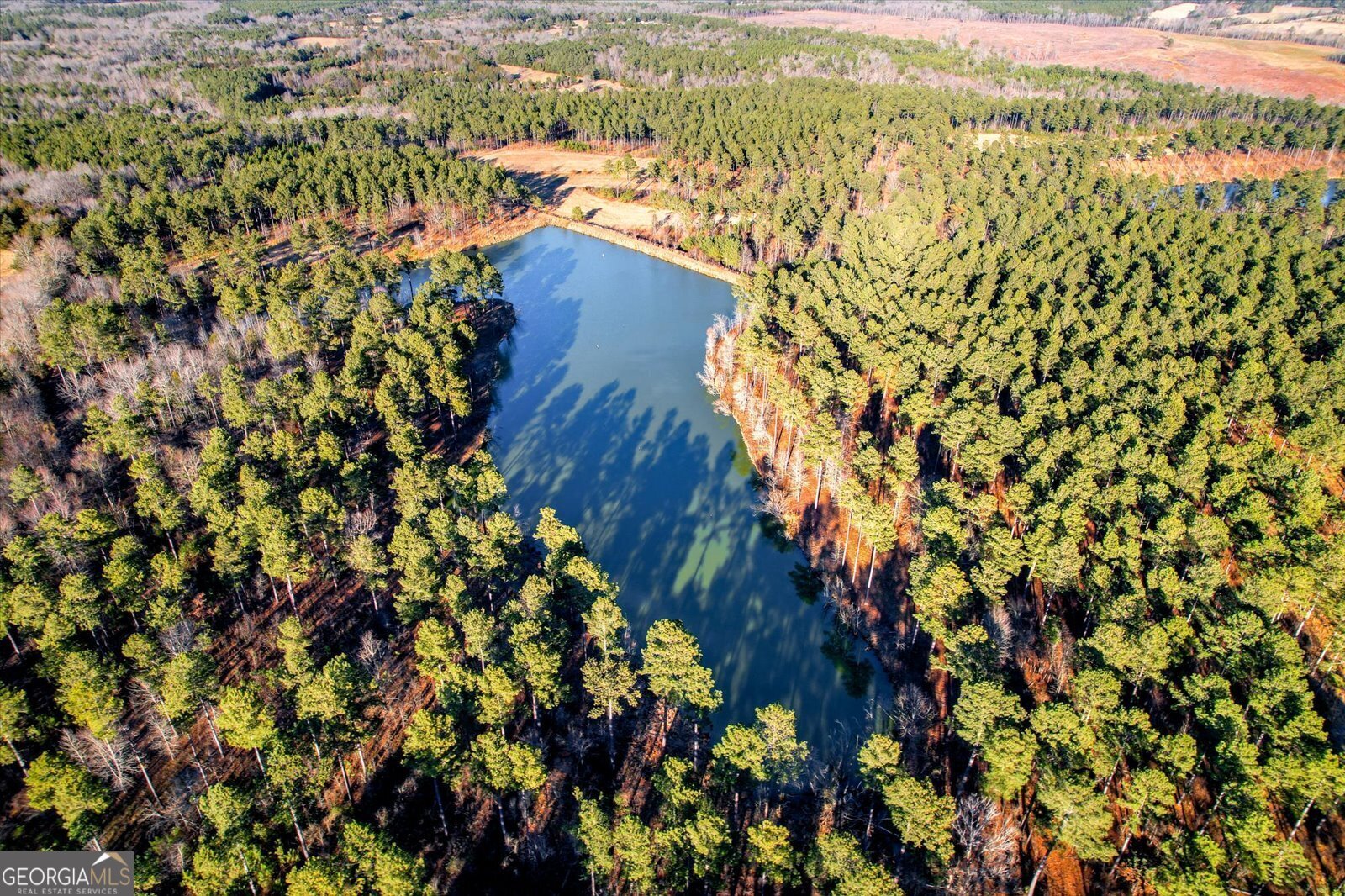 2164 Lincolnton Highway Elberton - 98