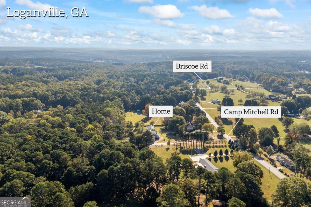 2950 Camp Mitchell Road Loganville - 56