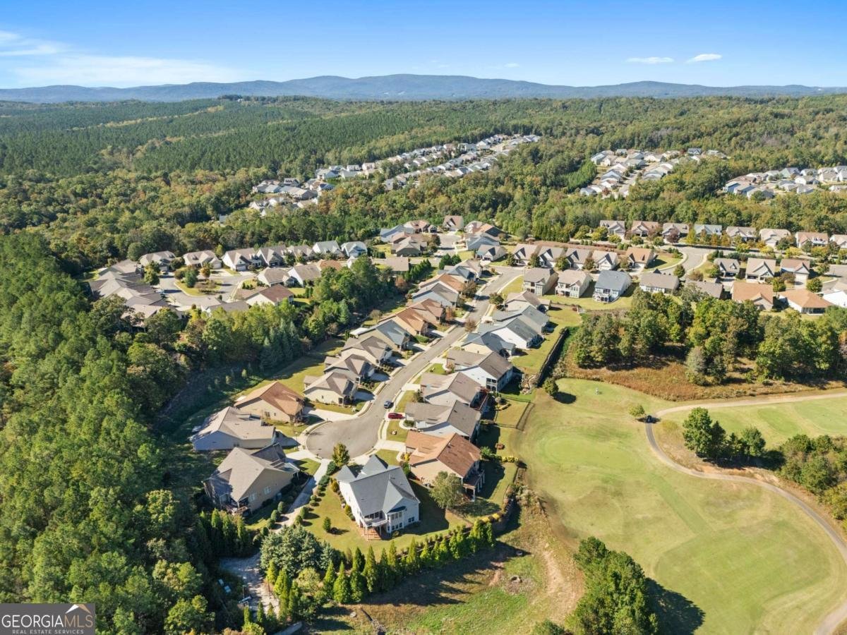 319 Laurel Lookout Hills Canton - 20