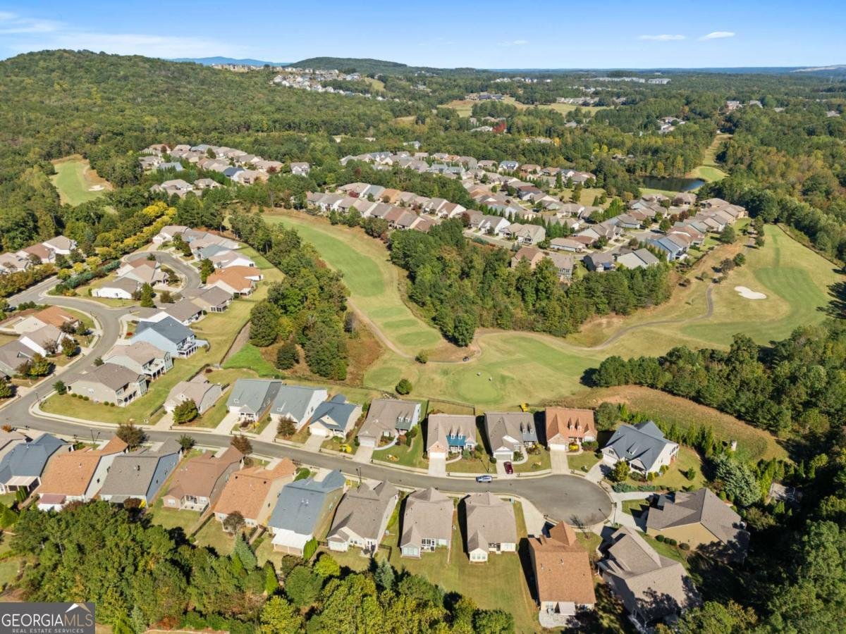 319 Laurel Lookout Hills Canton - 21
