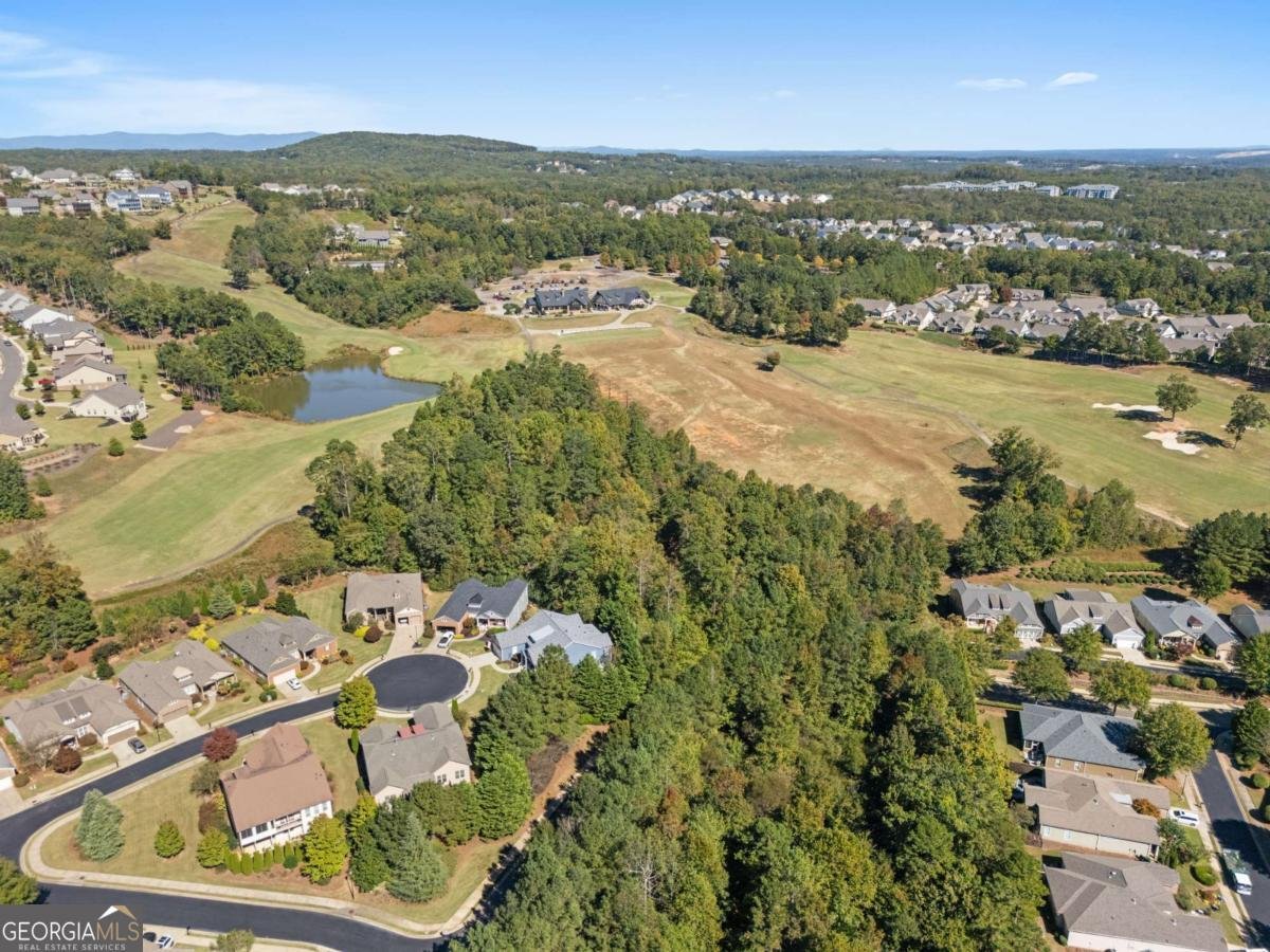 319 Laurel Lookout Hills Canton - 41