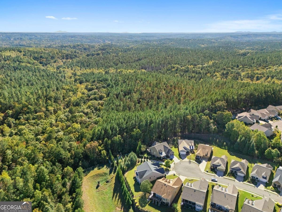 319 Laurel Lookout Hills Canton - 42