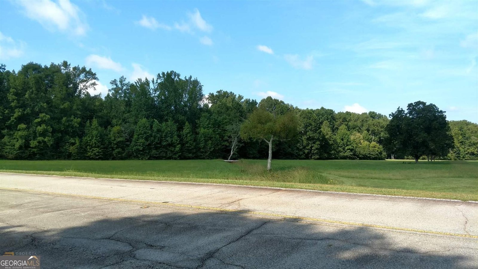 7275 Bishop Road Fairburn - 19