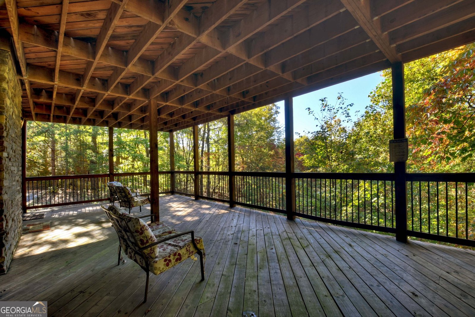 113 Deer Hunter Trail Blue Ridge - 24