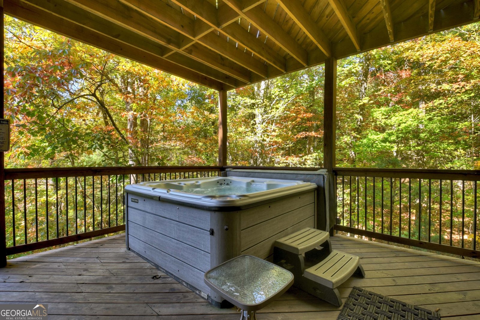 113 Deer Hunter Trail Blue Ridge - 25