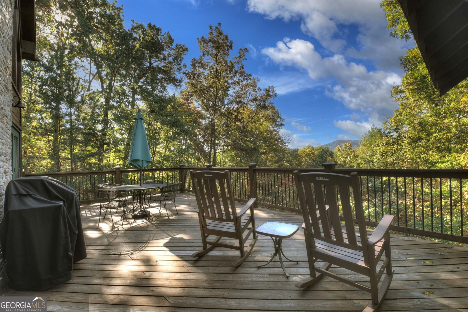 113 Deer Hunter Trail Blue Ridge - 3