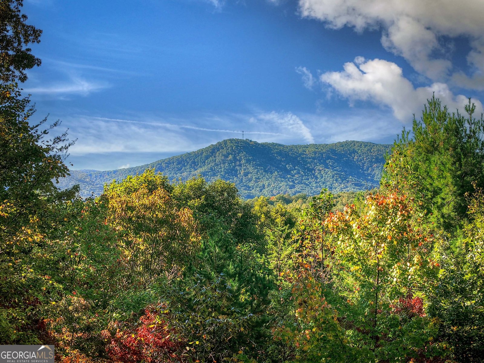 113 Deer Hunter Trail Blue Ridge - 5