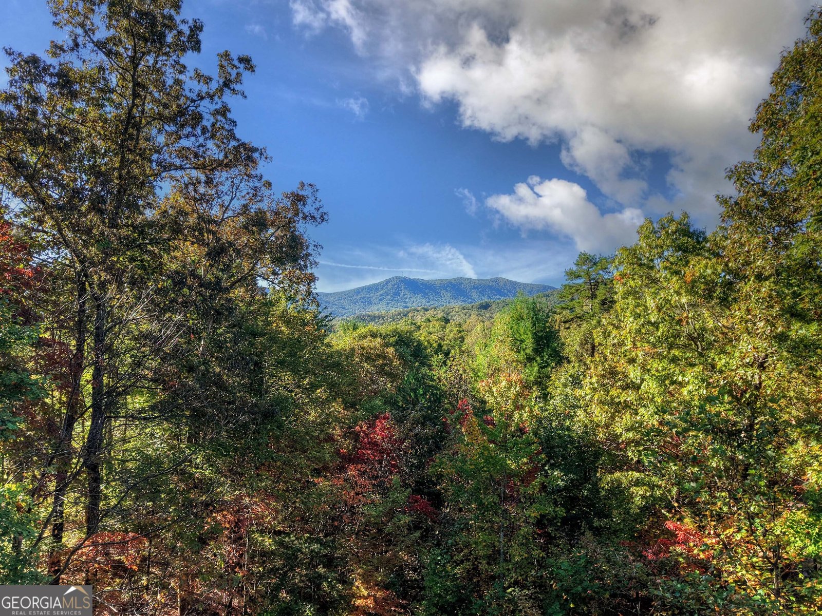 113 Deer Hunter Trail Blue Ridge - 6