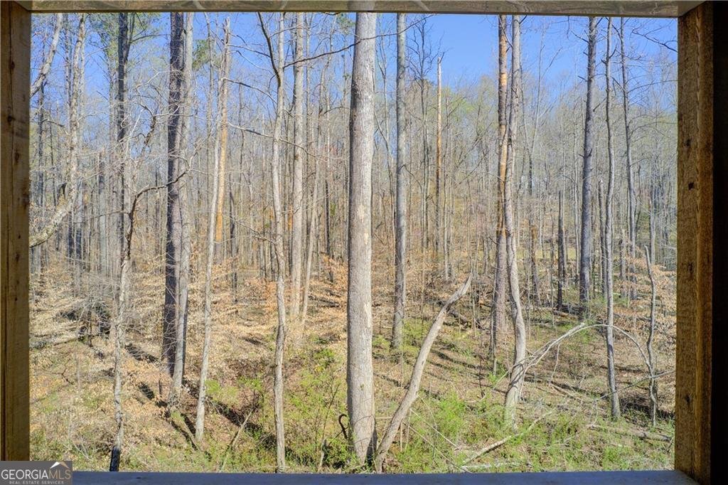 555 Lower Birmingham Road Canton - 69