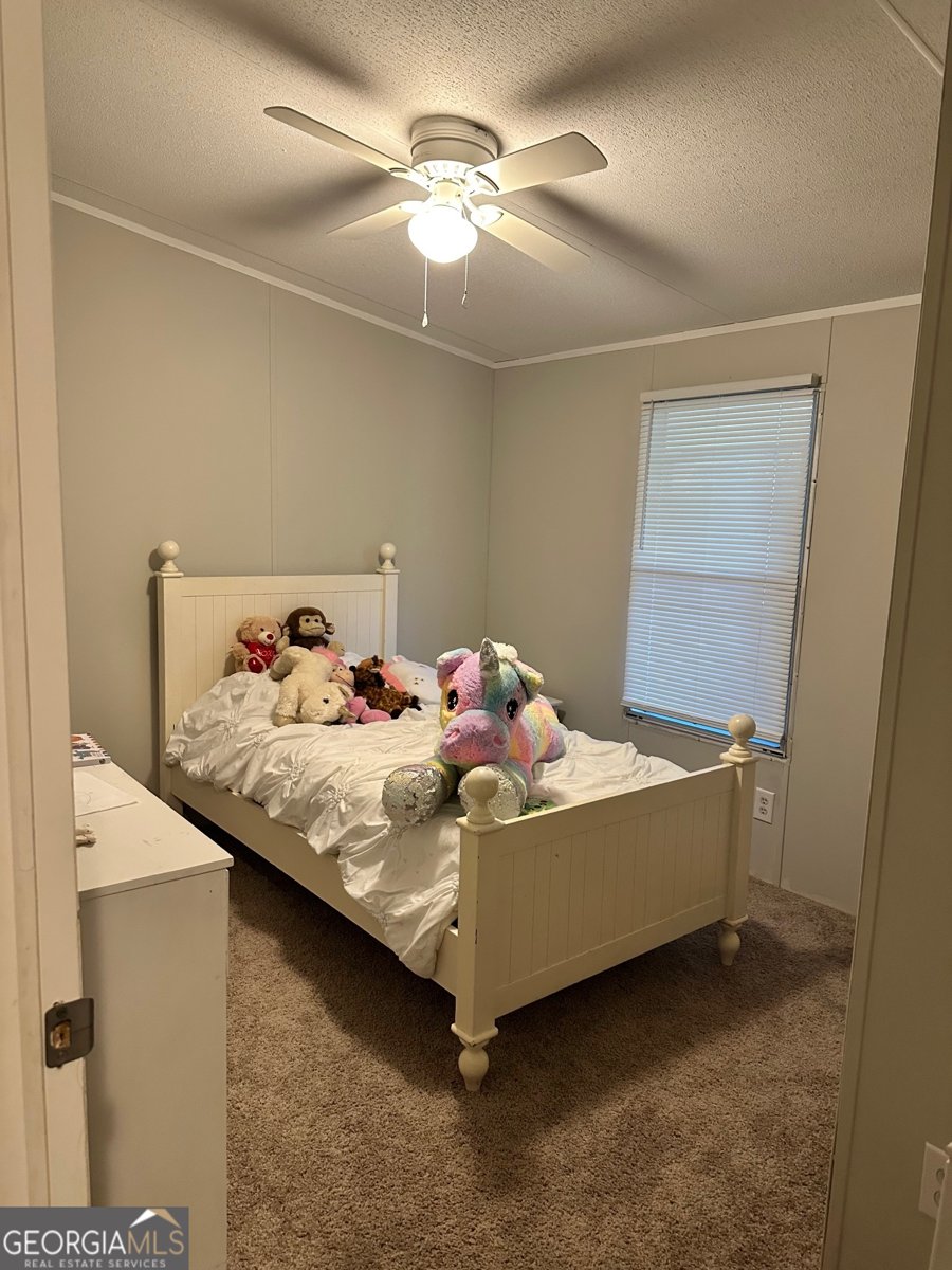 216 Skye View Drive Statesboro - 21