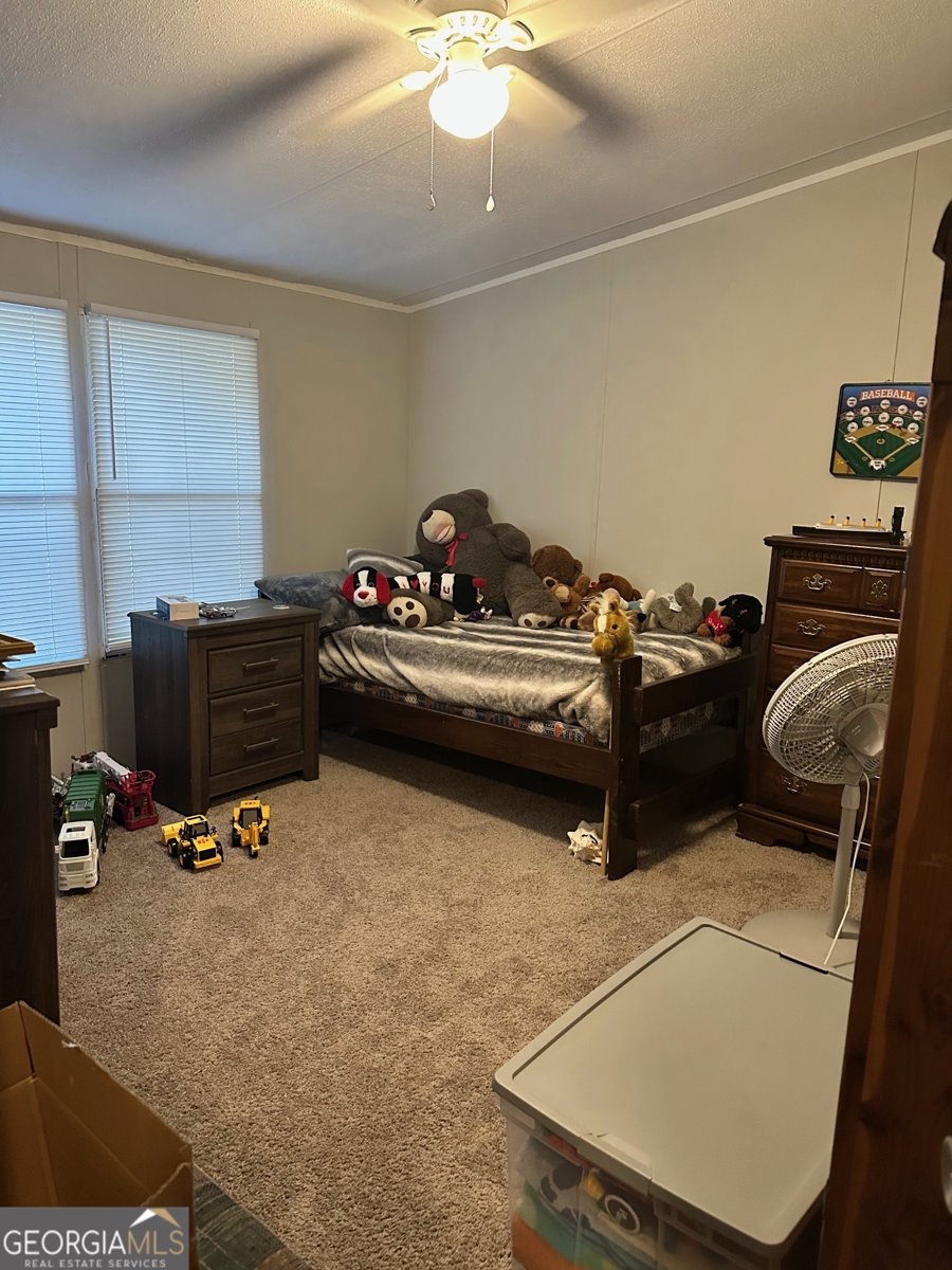 216 Skye View Drive Statesboro - 23