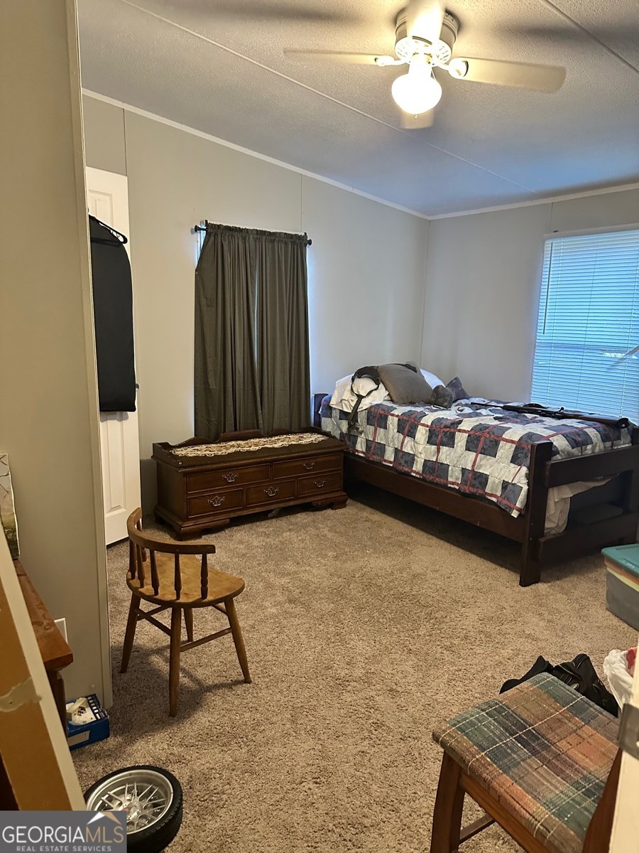 216 Skye View Drive Statesboro - 24