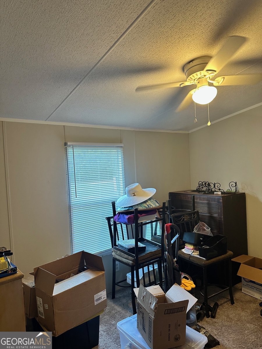 216 Skye View Drive Statesboro - 25