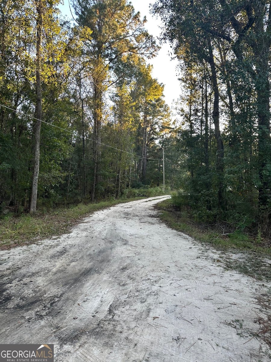 216 Skye View Drive Statesboro - 35