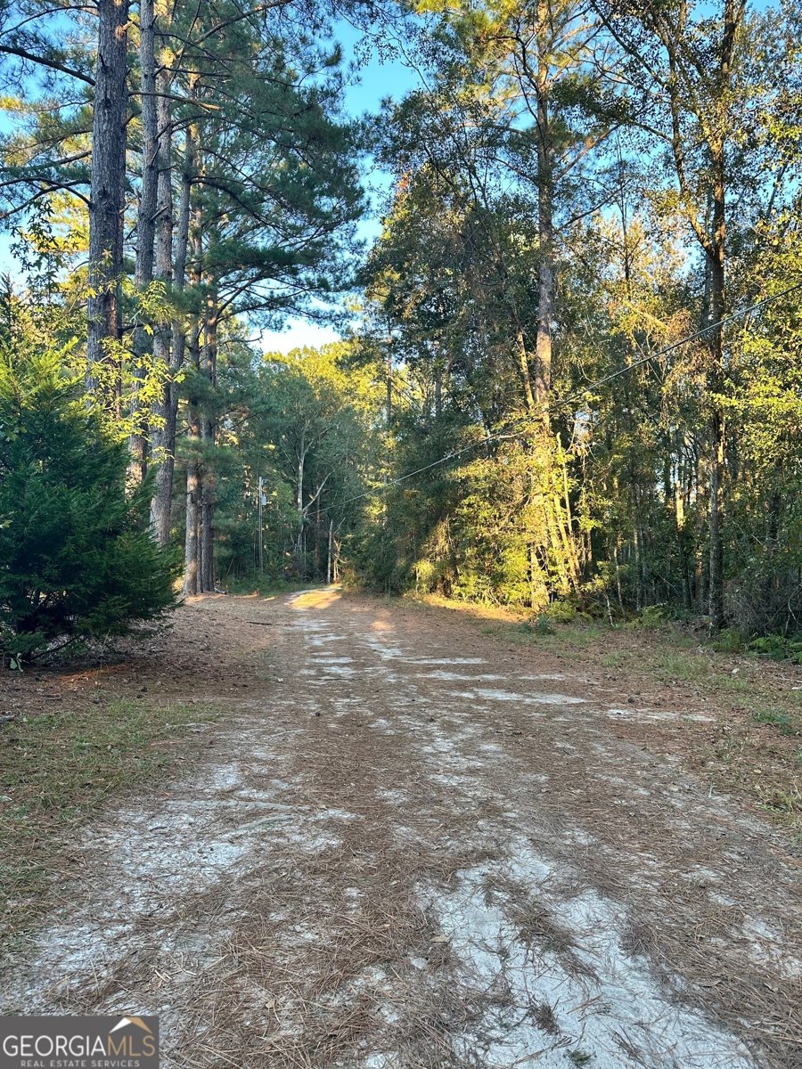 216 Skye View Drive Statesboro - 41