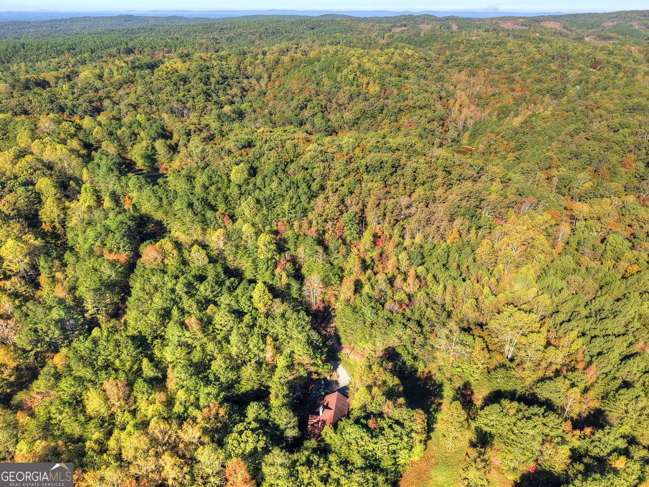 523 Long Branch Road Ranger - 12