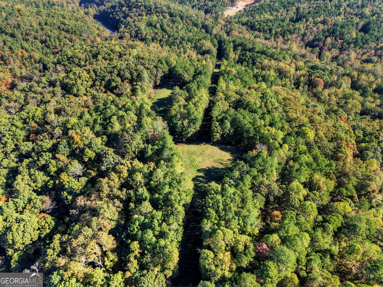 523 Long Branch Road Ranger - 13