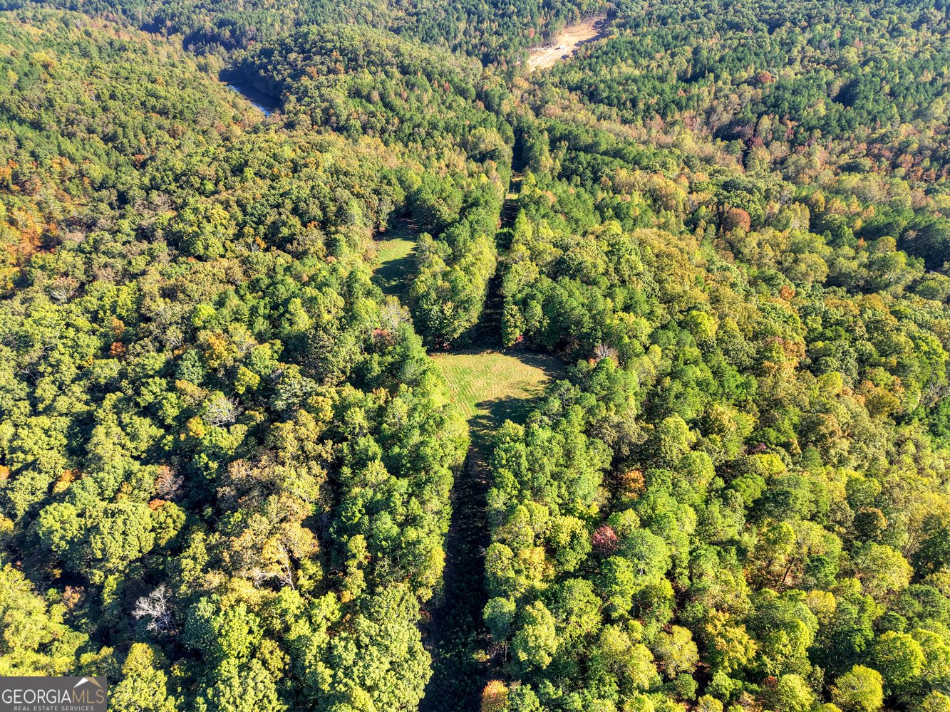 523 Long Branch Road Ranger - 14