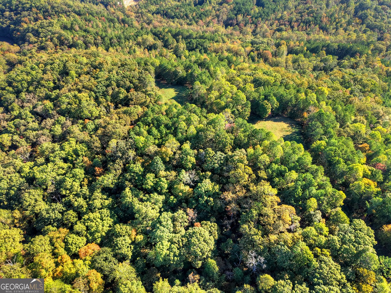 523 Long Branch Road Ranger - 15