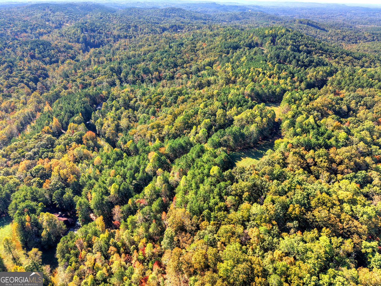 523 Long Branch Road Ranger - 16