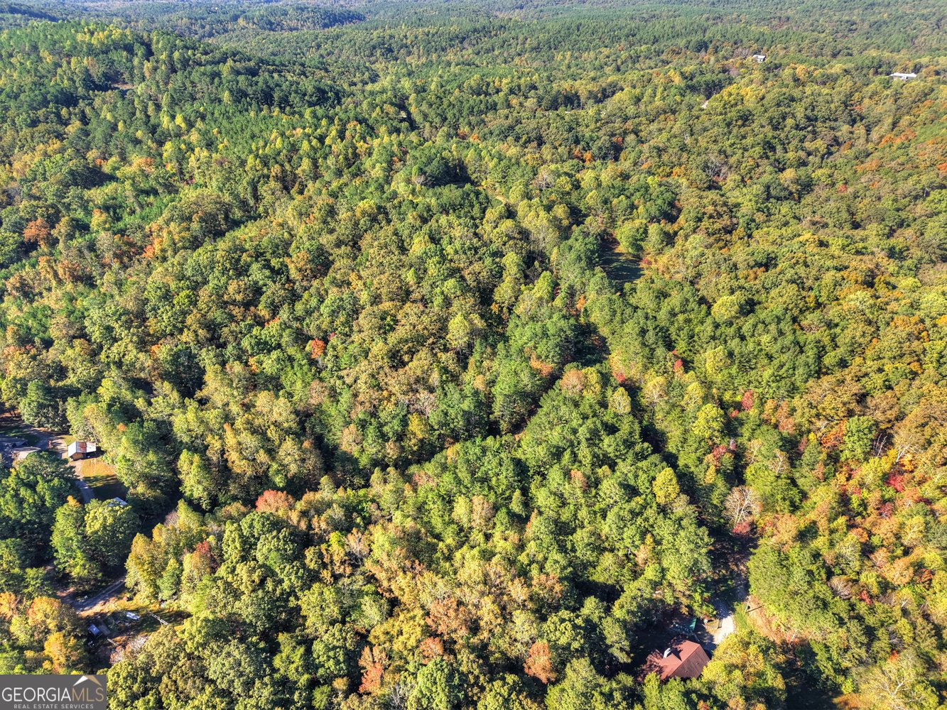 523 Long Branch Road Ranger - 17