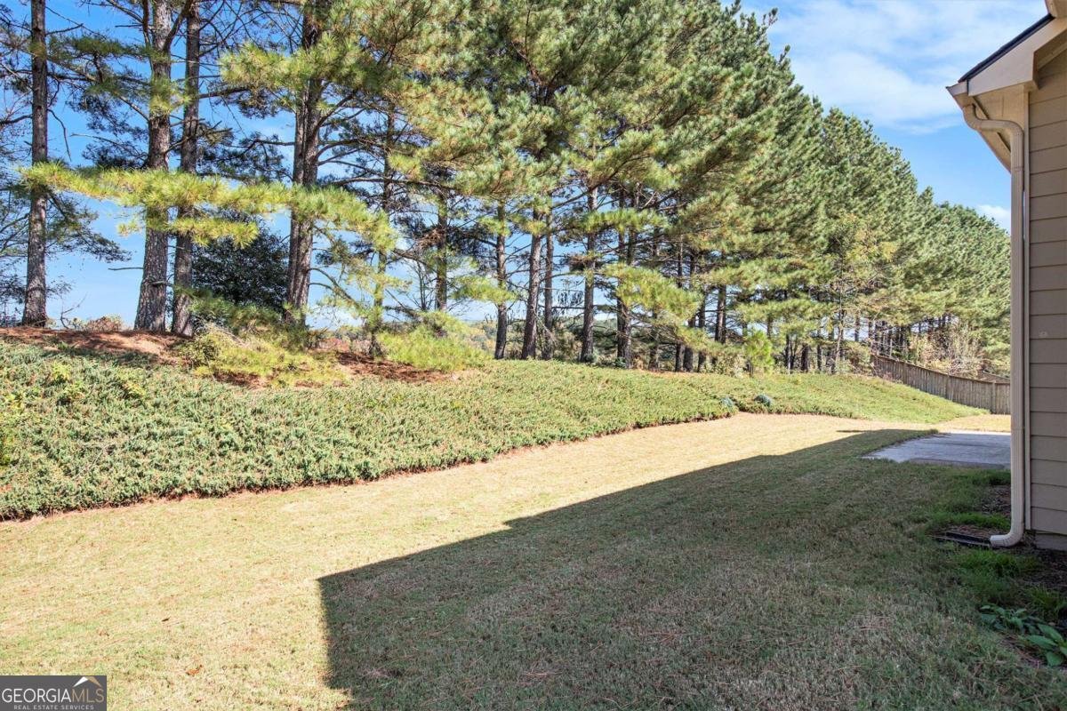 4825 Silver Leaf Drive Cumming - 28