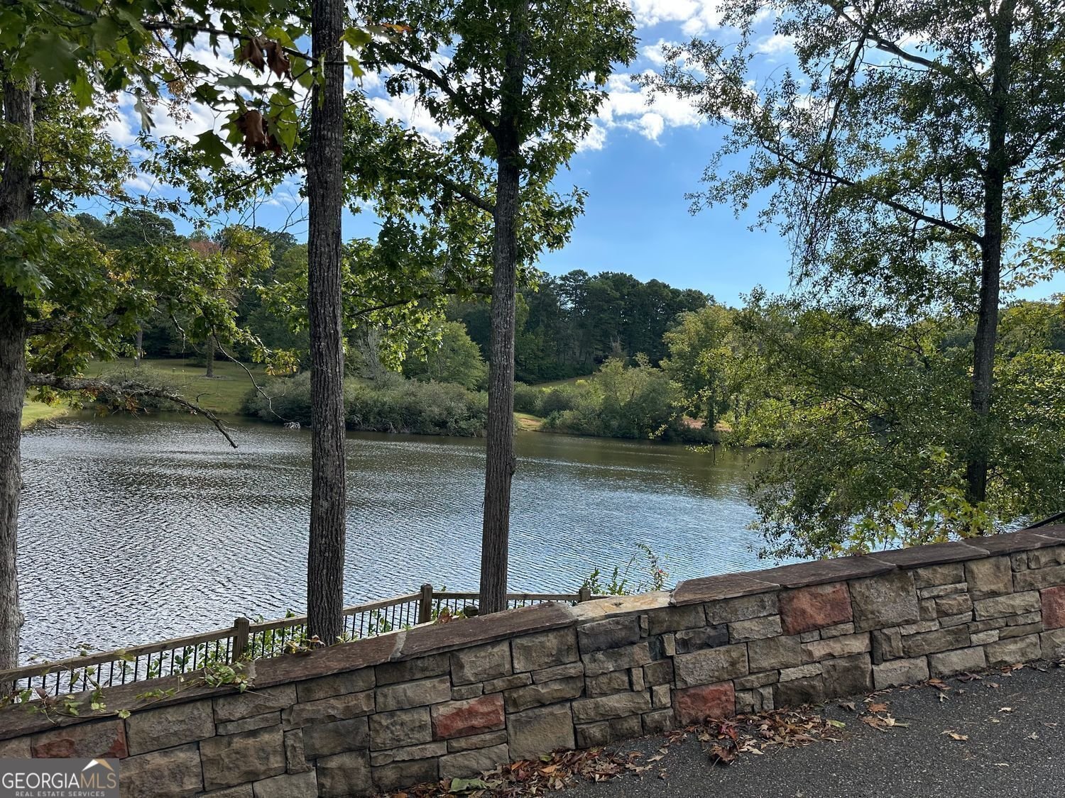 119 Heritage Way Dallas - 42