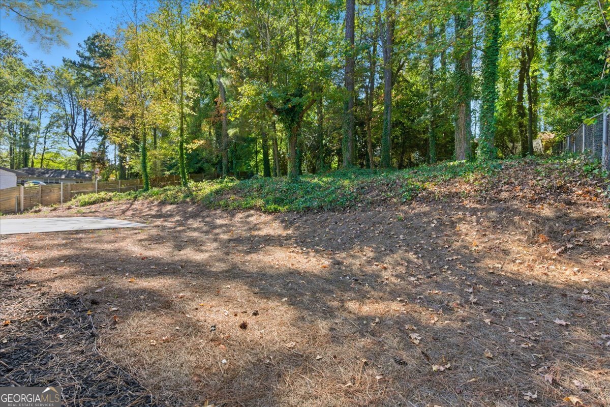 2343 Bonnybrook Way Atlanta - 18