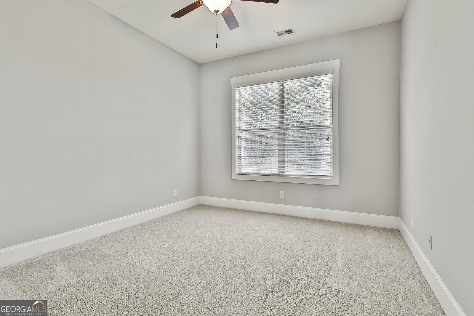 180 Park Haven Lane Tyrone - 1