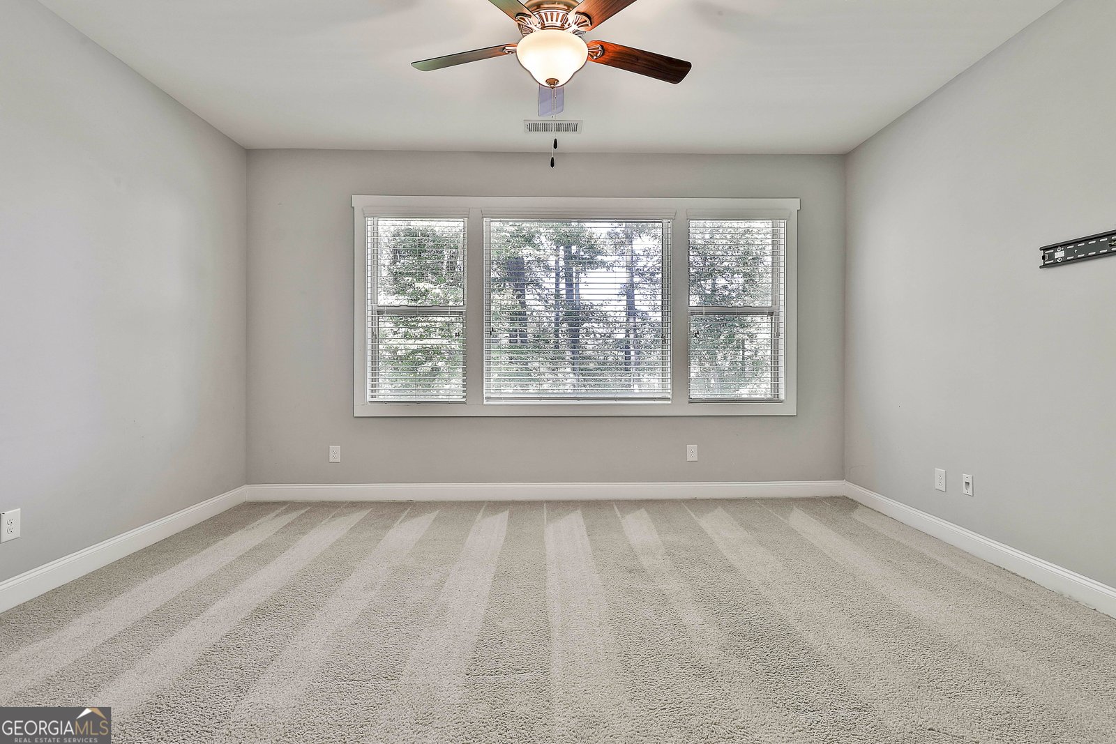 180 Park Haven Lane Tyrone - 14