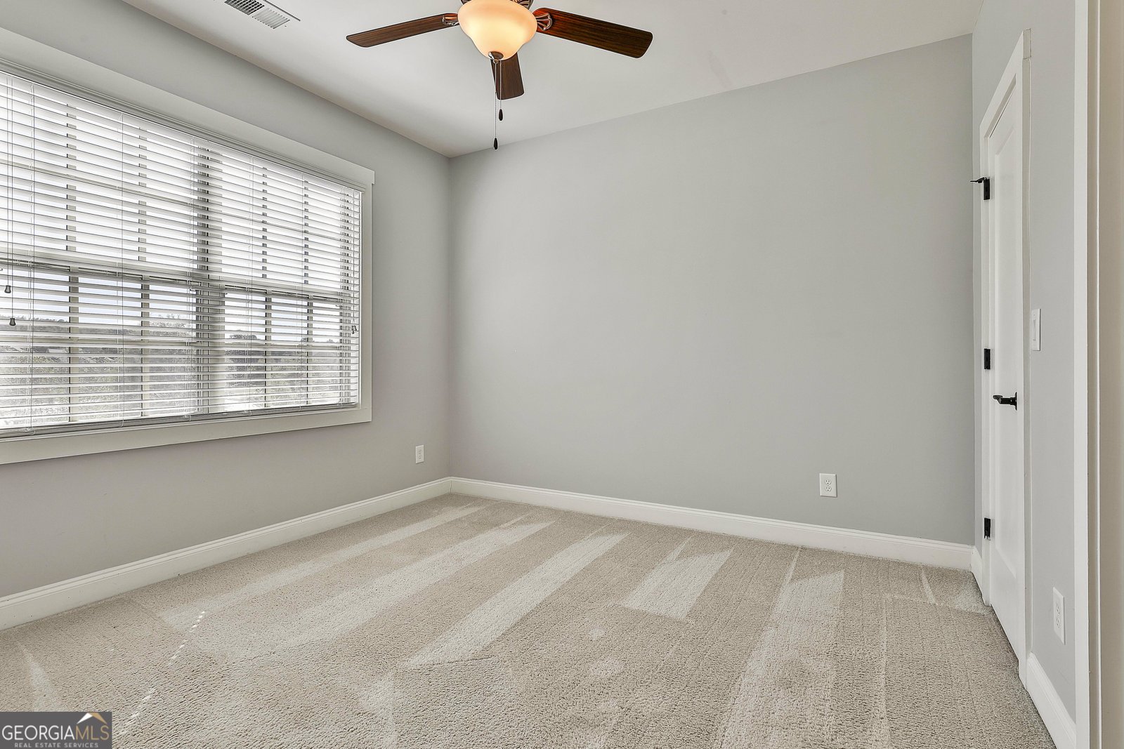 180 Park Haven Lane Tyrone - 20