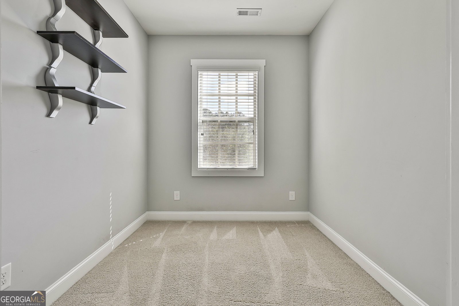 180 Park Haven Lane Tyrone - 21