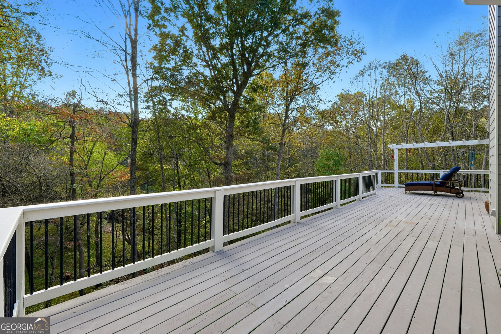 600 FOREST PINE Drive Ball Ground - 32