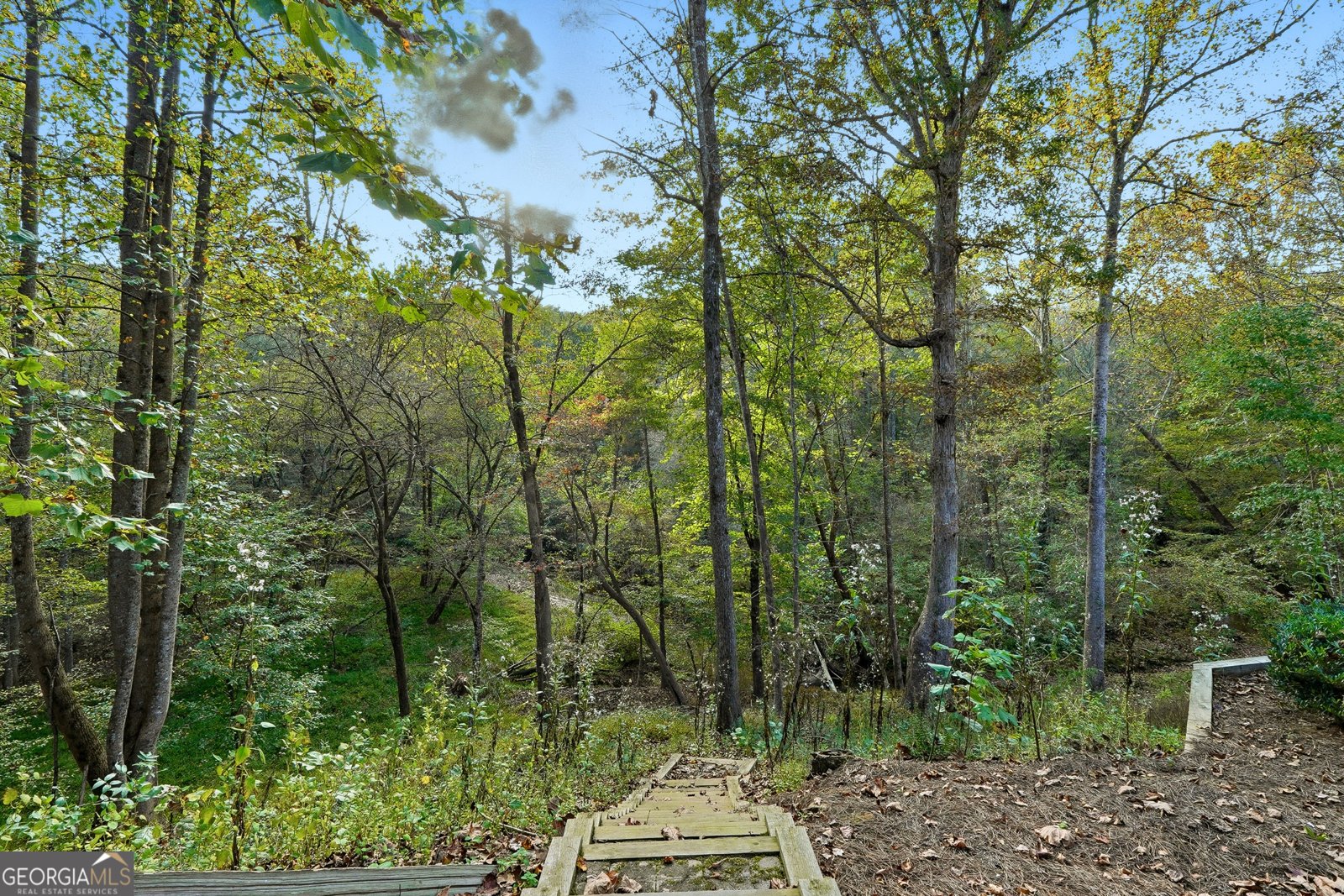 600 FOREST PINE Drive Ball Ground - 36