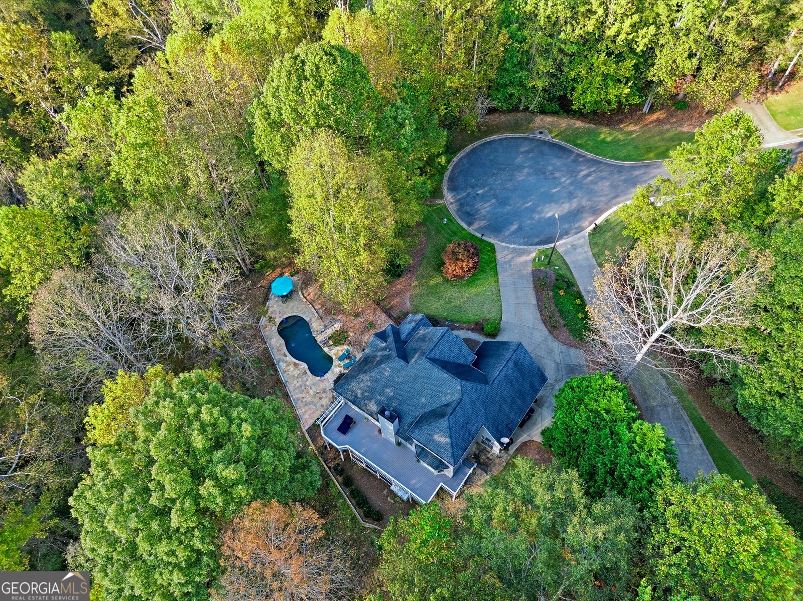 600 FOREST PINE Drive Ball Ground - 41